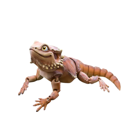 Malovací sada: Agama