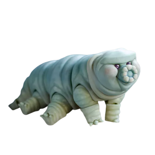 Malovací sada: Želvuška