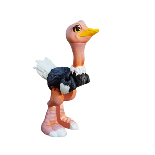 Malovací sada: Pštros