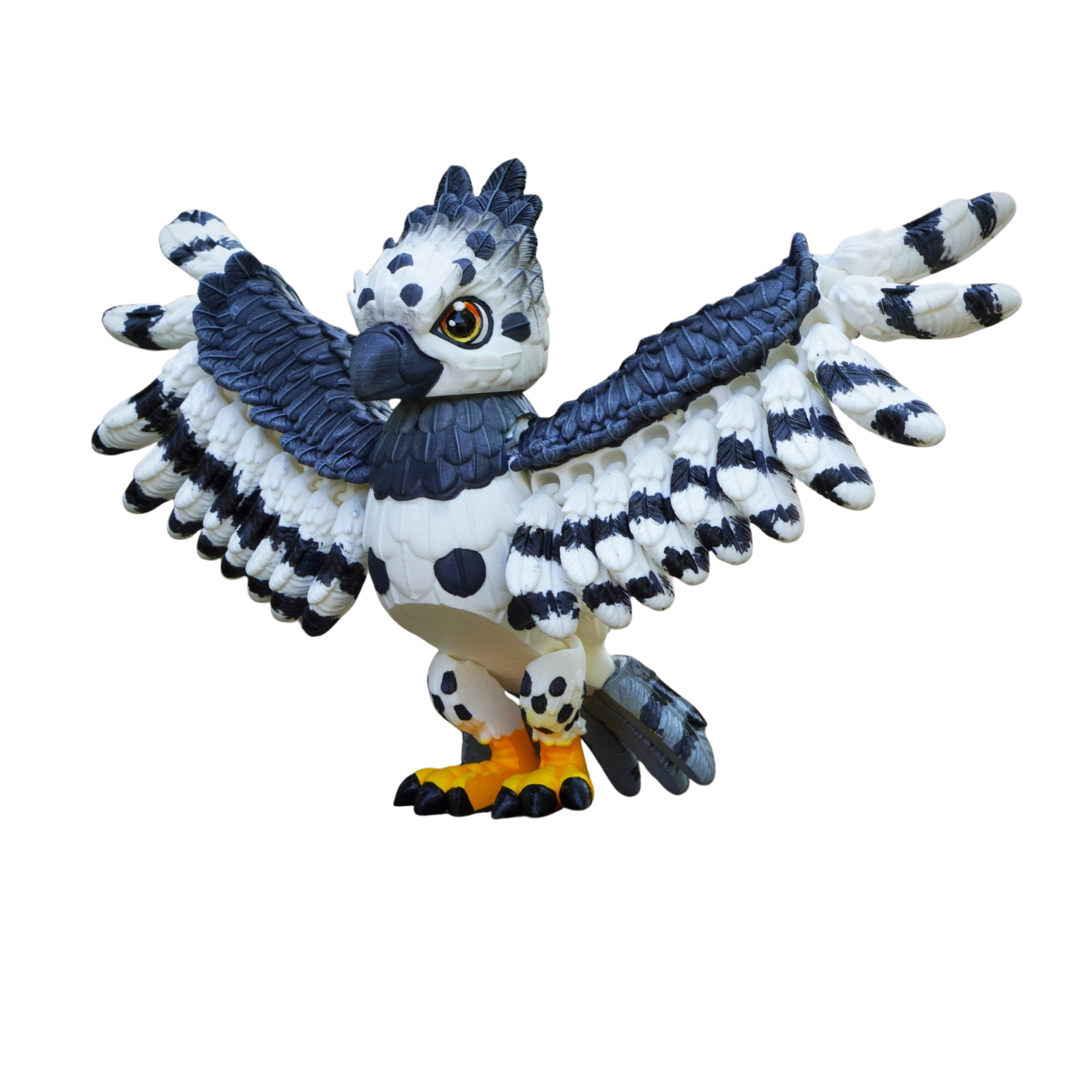 Malovací sada: Orel