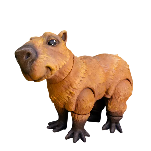 Malovací sada: Capybara