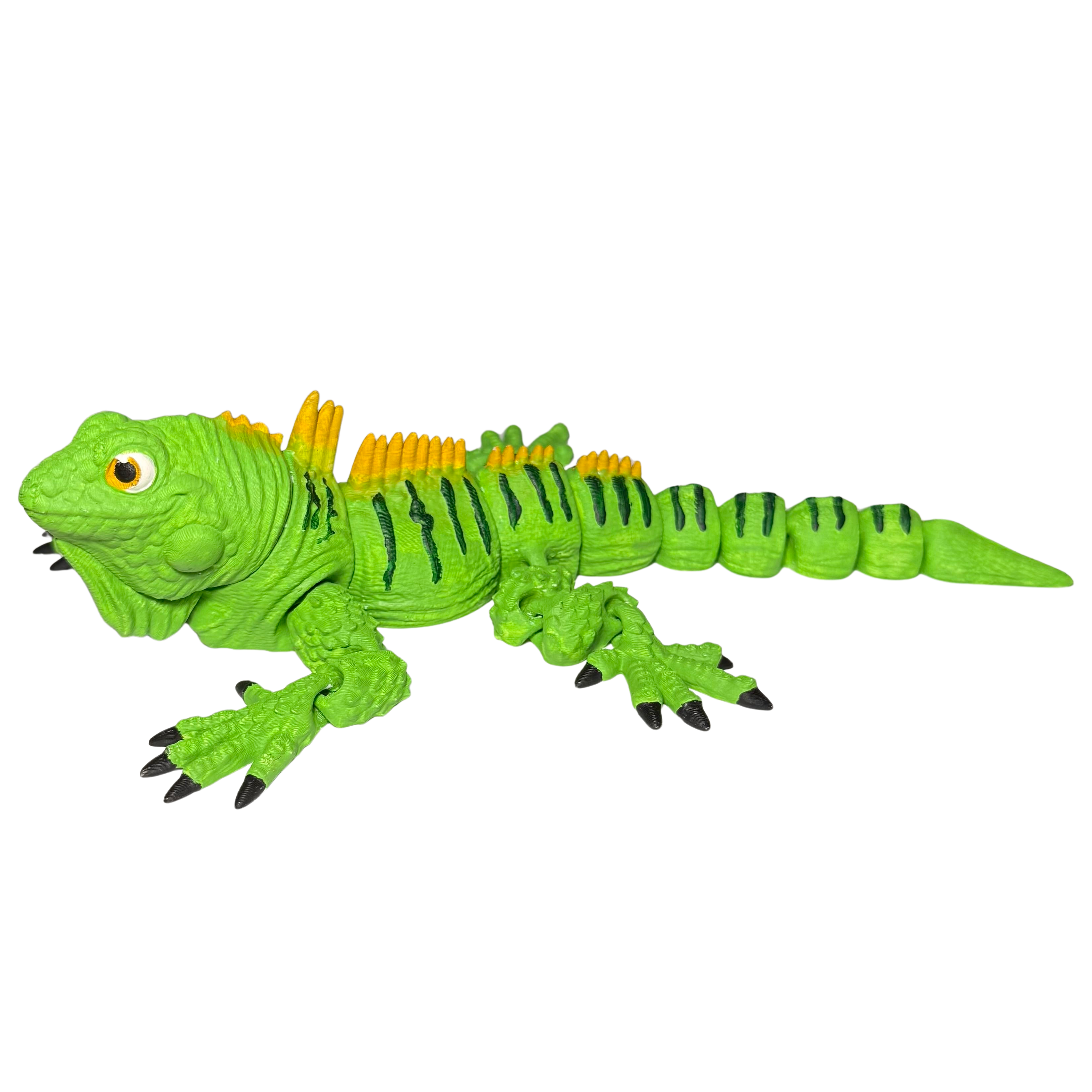 Malovací sada: Leguán