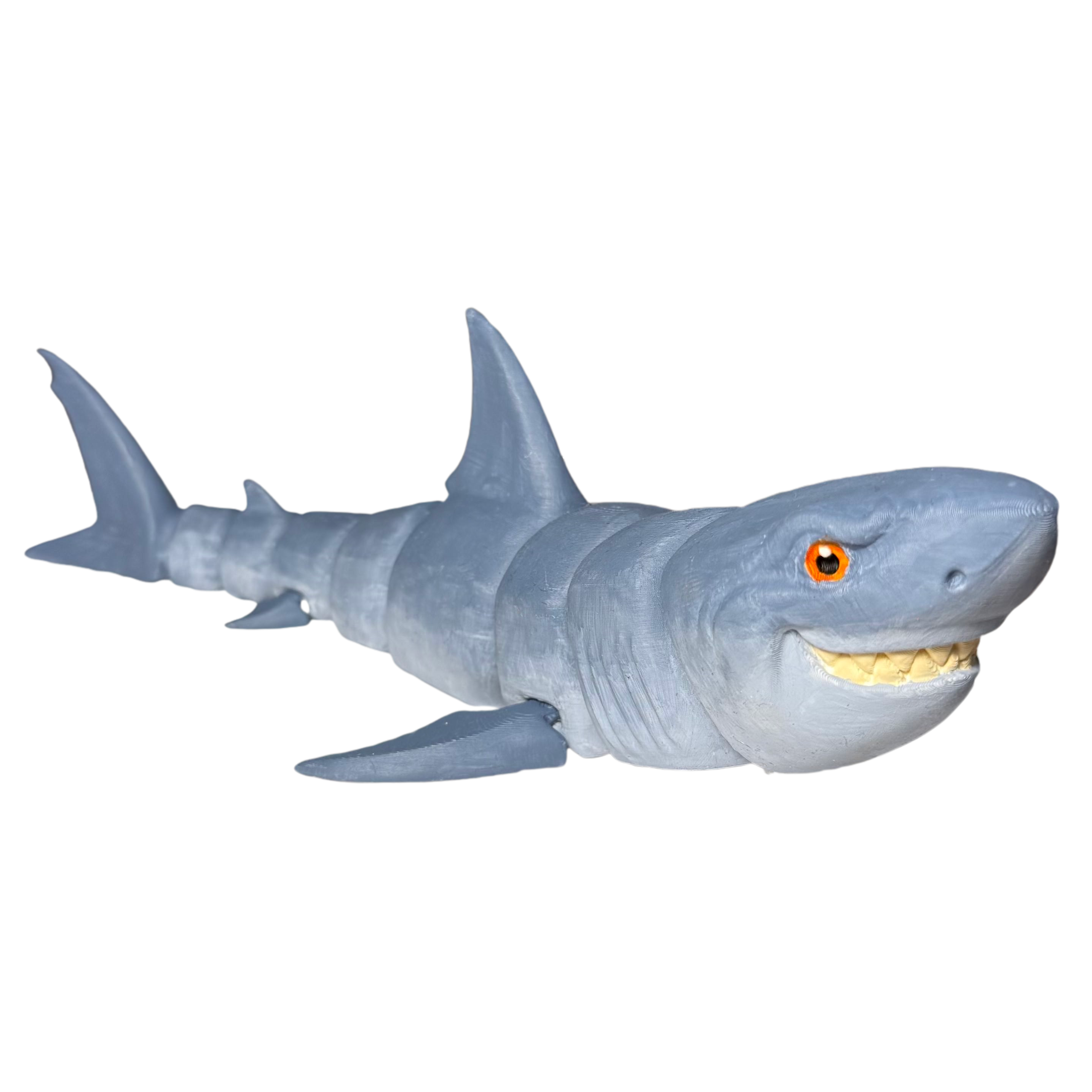 Malovací sada: Žralok