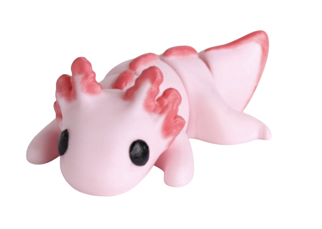 Miniatury: Mládě axolotla